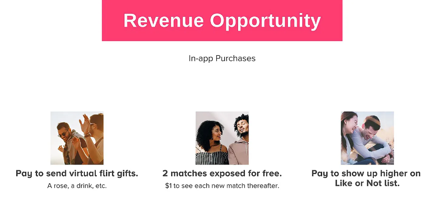 “Revenue Opportunity” slide