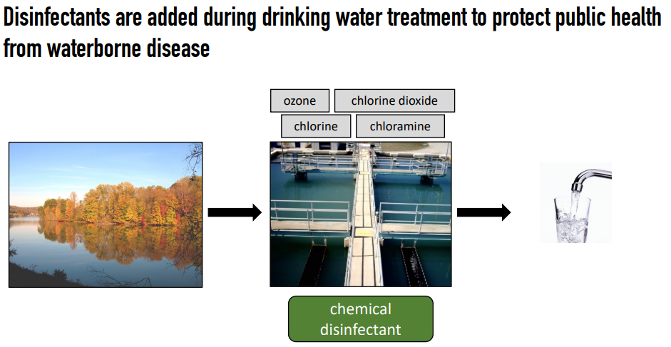 Student's slide from a thesis on drinking water quality and risks associated with it.