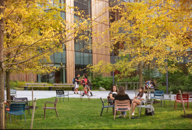 A design project for the Dwight Englewood Middle School tells the story of a place designed for kids to play, relax between classes, have a snack, and study.