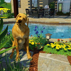 A family estate design project, include their dog in a 3D visualization